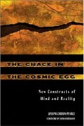 The Crack in the Cosmic Egg: New Constructs of Mind and Reality